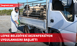 Lefke Belediyesi, şap hastalığına karşı dezenfeksiyon uygulaması başlattı