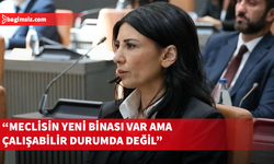 Özdenefe’den Meclis’te eleştirileri