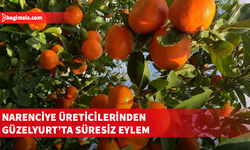 Narenciye üreticileri Güzelyurt’ta süresiz eylem ateşi yakıyor