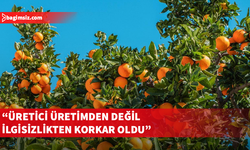 Narenciye Üreticileri Birliği, pazartesi süresiz eyleme gidiyor