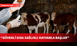 Gıda Mühendisleri Odası’ndan şap hastalığı açıklaması