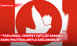 TDP, Ev İçi Şiddet Yasası’nın geçmesi için çağrı yaptı