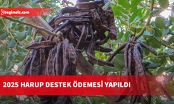 2025 harup destek ödemesi yapıldı