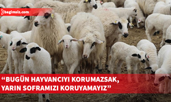 Çebi: Küçükbaş hayvancıyı koruyacak acil önlemler alınmalı