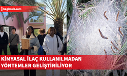 UKÜ’den çam kese böceğine karşı doğal mücadele projesi...