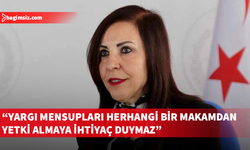 Emine Dizdarlı: Başbakan’ın “Yargıya yetki verdim” sözleri Anayasa’ya aykırıdır