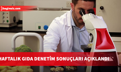 1 yerli üründe tavsiye dışı, 1 ithal üründe ise limit üstü bitki koruma ürünü tespit edildi