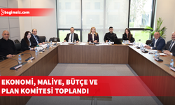 Ekonomi, Maliye, Bütçe ve Plan Komitesi KDV ve Trafik Yasası için toplandı