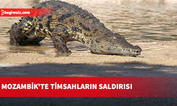 Mozambik’te timsahların saldırısında 2 kişi öldü, 3 kişi ağır yaralandı