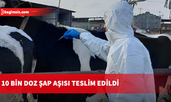 KKTC'den Güney Kıbrıs'a 10 bin doz şap aşısı teslim edildi