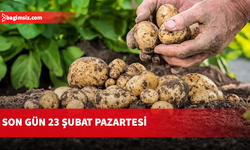 İlkbahar patates beyan alımlarının süresi Pazartesi gününe kadar uzatıldı