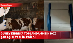 Güney Kıbrıs’a 50 bin doz şap aşısı daha gönderildi