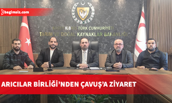 Arıcılık sektörü temsilcileri Çavuş’u ziyaret etti