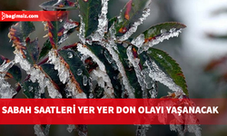 Yarın, pazar ve pazartesi sabah saatlerinde don olayı bekleniyor