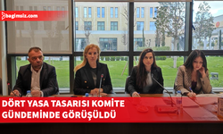 Ekonomi, Maliye, Bütçe ve Plan Komitesi, dört yasa tasarısını görüştü