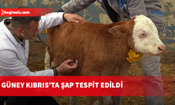 KKTC’den Güney Kıbrıs’a kaçak saman iddiası