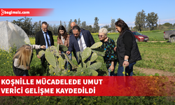 Çavuş babutsada görülen koşnille mücadelede umut verici gelişme kaydedildiğini söyledi