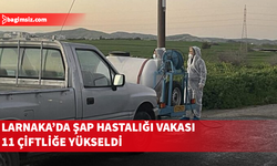 Larnaka’da 11 çiftlikte şap hastalığı tespit edildi