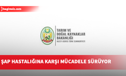 Şap hastalığına karşı mücadele sürüyor