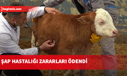 81 büyük baş hayvan için 3 milyon 603 bin 300 TL tazminat ödendi