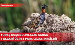 Turaç kuşunu avlayan şahsa 5 asgari ücret tutarında para cezası
