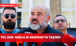 Tel-Sen Genel Sekreteri Gedik: Sesimiz Anayasa Mahkemesi'nde