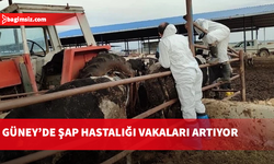Güney Kıbrıs'ta şap hastalığı görülen çiftlik sayısı 22’ye yükseldi