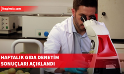 İthal armut ile yerli dolmalık biber, patlıcan ve çilekte limit üstü bitki koruma ürünü tespit edildi