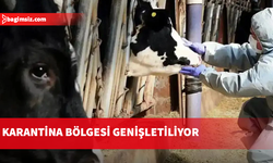 Dromolaksia’daki şap vakası sonrası yeni önlemler