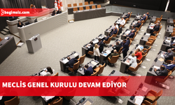 Meclis Genel Kurulu devam ediyor