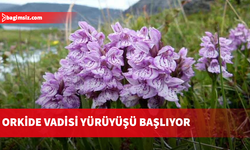 "14. Geleneksel Orkide Vadisi Gözlem Yürüyüşü" pazar günü yapılacak