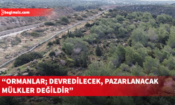 Ülkede faliyet gösteren 62 kuruluş, 3 bin 500 dönüm orman arazisinin devredilmesini ortak açıklamayla reddetti