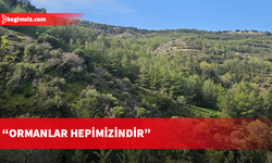 Yürüyüş gruplarından Orman Yasası Tasarısına tepki