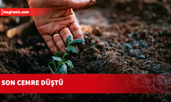 Son cemre toprağa düştü, doğa uyanıyor