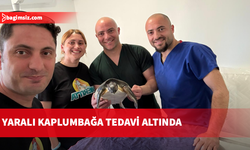 Lapta Sahili’nde bulunan yaralı deniz kaplumbağası tedavi altına alındı