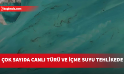 Basra Körfezi’nde alarm: Petrol sızıntıları tehlike yaratabilir
