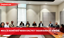 Hukuk, Siyasi İşler, Dışilişkiler ve Savunma Komitesi toplandı