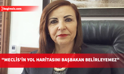Emine Dizdarlı’dan Meclis açıklaması: Başbakan'ın Meclis idaresine ilişkin yetkisi yoktur