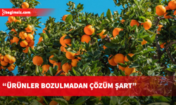 Genel grev narenciye ihracatını durdurdu