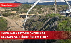 Kaplumbağaları Koruma Derneği’nden yetkililere çağrı