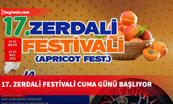 Çatalköy - Esentepe Belediyesi 17. Zerdali Festivali başlıyor