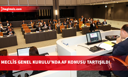 Mecliste Muhaceret Affı Tartışması: Herkesi Affedeceğiz Söylemi Gerçeği Yansıtmıyor