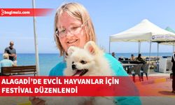 Alagadi’de evcil hayvanlar için festival düzenlendi