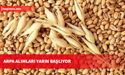 KTÇB: Üreticiler yarından itibaren arpa ürünlerini TÜK şubelerine ulaştırabilecek