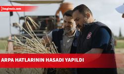 Arpa çeşit adaylarının hasadı yapıldı
