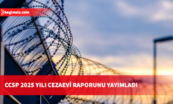 Belçika'daki Cezaevi Denetim Konseyi: Cezaevlerindeki aşırı doluluk insani kriz boyutlarına ulaştı