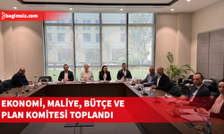 Ekonomi, Maliye, Bütçe ve Plan Komitesi, gündemindeki yasa tasarılarını görüştü
