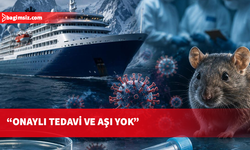 EMA'dan korkutan hantavirüs açıklaması: Onaylı tedavi ve aşı yok