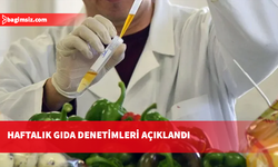 İthal kivide limit üstü, yerli biberde tavsiye dışı ilaç tespit edildi