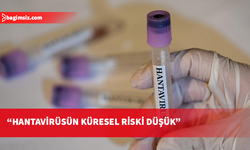 DSÖ: Hantavirüsün küresel nüfus için riski hala düşük